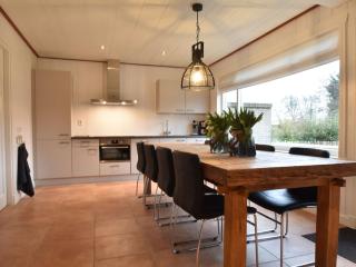 Holiday home Hazenborgh with infrared sauna - 8