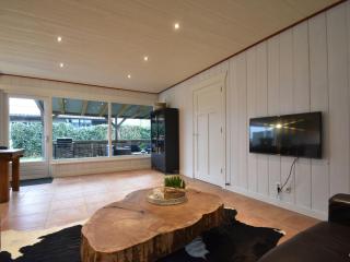 Holiday home Hazenborgh with infrared sauna - 1