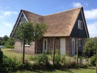 Lavish 4-person beach villa in Makkum - 0