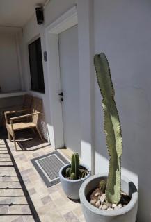 Bello loft studio en el corazón de Tijuana - 8