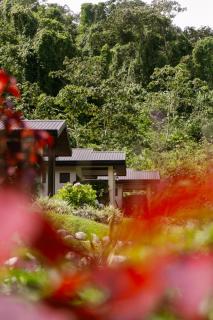 Untold Arenal - Rainforest Suites - 8