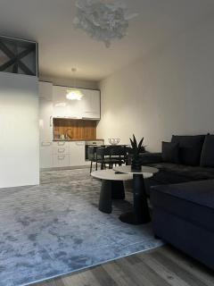 City centre beautiful apartment - near stadium - 4