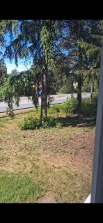 Traditional Finnish Lapland house at wild forest backyard! - 4