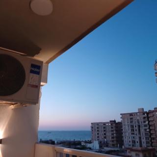 الاسكندرية البيطاش بيانكي - 7