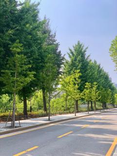 GreenFlow 청계 - 1
