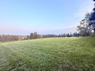 Historic Coastal Retreat - Pool & Sandy Beach Access - 3