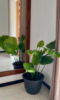 Villa de Mango Hues - 2