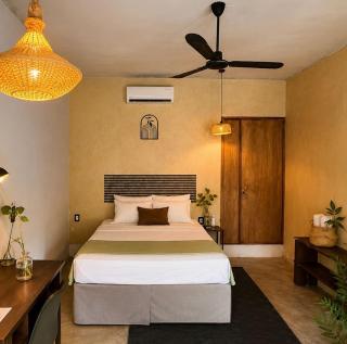 Casa Ceiba - 0
