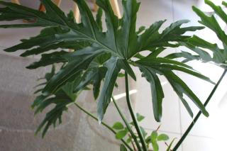 A bright, centrally located apartment - 3