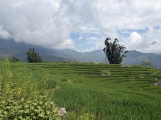 Homestay Tỉnh Xáo - 5
