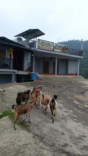 Geetanjali homestay - 7