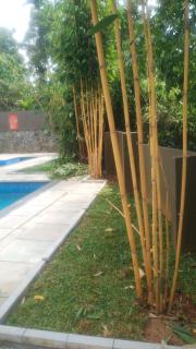Royal Heaven Wayanad - 2