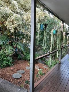 Buderim Bohemia - 9