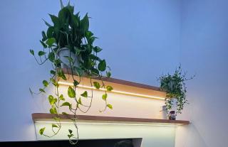 CS2 - Nhà Mình Homestay Đà Nẵng - 5