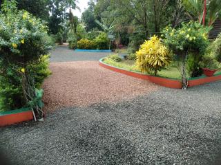 Kuttickattil Gardens Homestay - 8