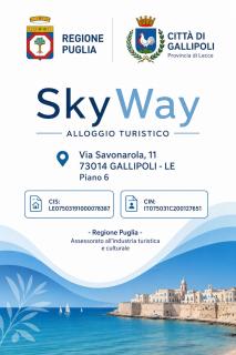 SkyWay - 9