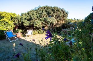 L'Elicriso - A pochi passi dal mare con giardino privato - The Elicriso - A few meters from the sea, with private garden - 6