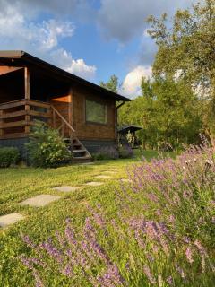 Bungalouri Olanesti - 5