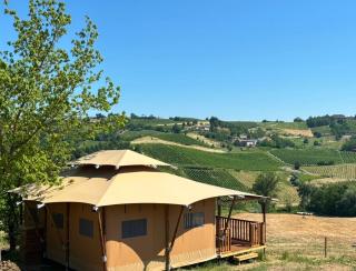 Jende Luxury loge - 5
