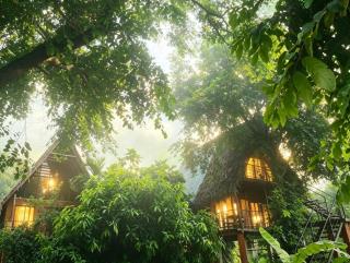 Habarana Tree House - Ivory cottage - 7