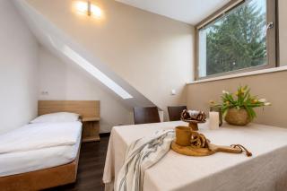 Anenský Apartmán C303 s wellness , O2 TV a stabilní rychlou WIFI, s možností dokoupení snídaní a s možností dokoupení masáží - 6