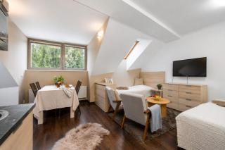 Anenský Apartmán C303 s wellness , O2 TV a stabilní rychlou WIFI, s možností dokoupení snídaní a s možností dokoupení masáží - 9
