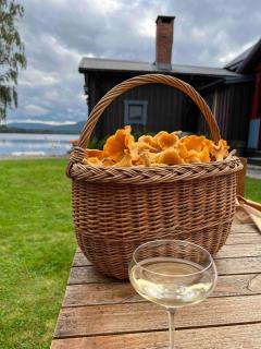 Charming Holiday Home in Nsviken with Sauna and Stunning Views - 7