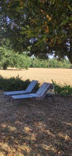 Gite de la vallée - 9