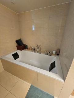 Penthouse by the beach and marina, 320 m2 - 1