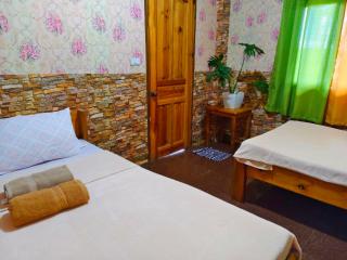 Mountain Lodge within Town Proper! - 5