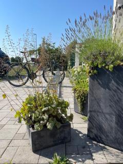 Residence Blanc Suites - Private Ferienresidenz mit Pool & Garten - 3