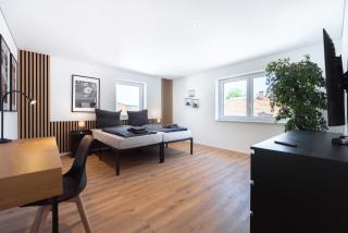 Modern 3-room apartment with flexible beds near Basel - business & leisure - 8
