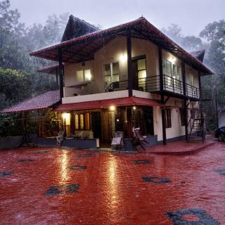 Rain forest estate stay up stairs cofea eastate - 1