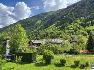 Le Petit Mont Blanc - Appartamento Alpino - 0