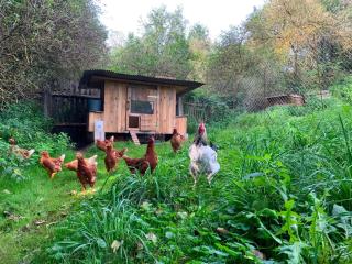 Statek ráj Netvořice, Tiny house and Farm Experience - 1