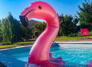 Charmant studio avec piscine partagée à Cabrières-d'Avignon - 6