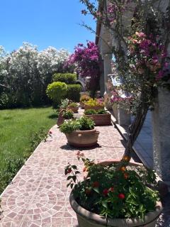 Villa Funtana Cortese - 3