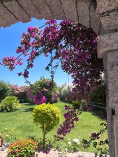 Villa Funtana Cortese - 2