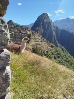 Picos House MachuPicchu - 9