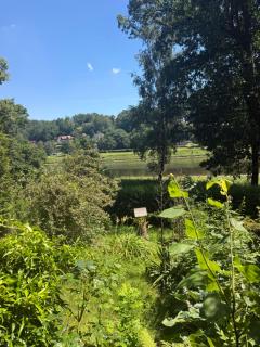 Campingurlaub mit Blick auf die Elbe - 8