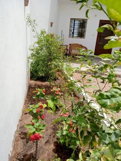The Cozy Nest - 9