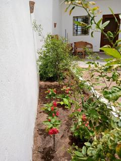 The Cozy Nest - 1