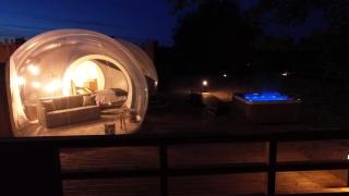 La Bulle des Brosses étoilées - 1