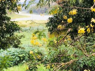 The River Lodge, over looking river, near Kandy - 9
