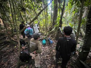 3-Day Waigeo Birdwatching Expedition - 1