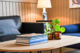 Sommerhus Med Brændeovn I Vejlby Klit Sj163 - 6