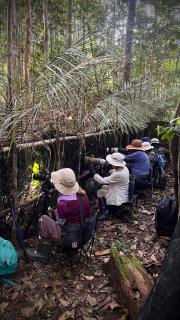3-Day Waigeo Birdwatching Expedition - 5