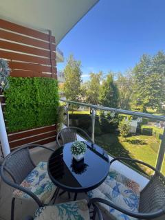 Sea sunrise view home, Sunny Island Chernomorets - 4