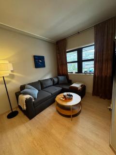 Central city apartment Sogndal - 8