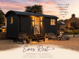 Ewes Rest Shepherds Hut - 9